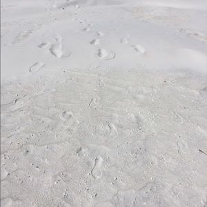 Listing for @lausanjose01!