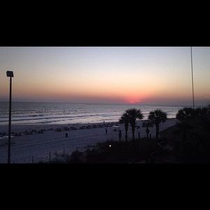 Meet your Posher, Bella