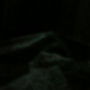 Meet your Posher, Daisy