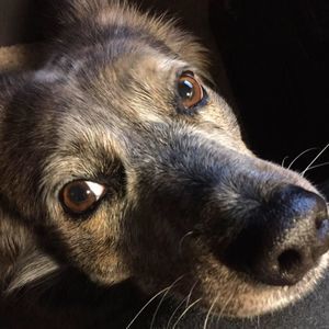 Meet your Posher, Jen