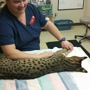 Meet your Posher, Christy