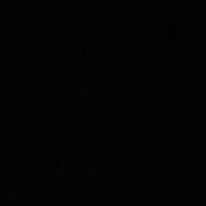 Meet your Posher, Lilia