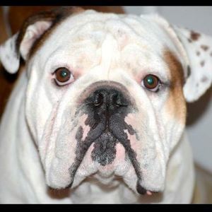 Meet your Posher, Ian aimee