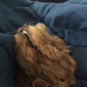 Meet your Posher, June