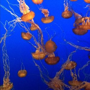 Meet your Posher, Winona