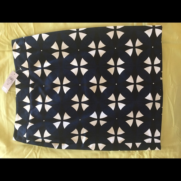 Ann Taylor Skirt