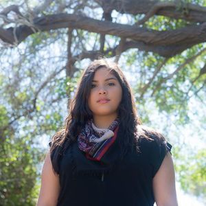 Meet your Posher, Analisa