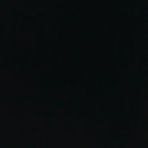 Meet your Posher, Rose