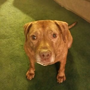 Meet your Posher, Jamie