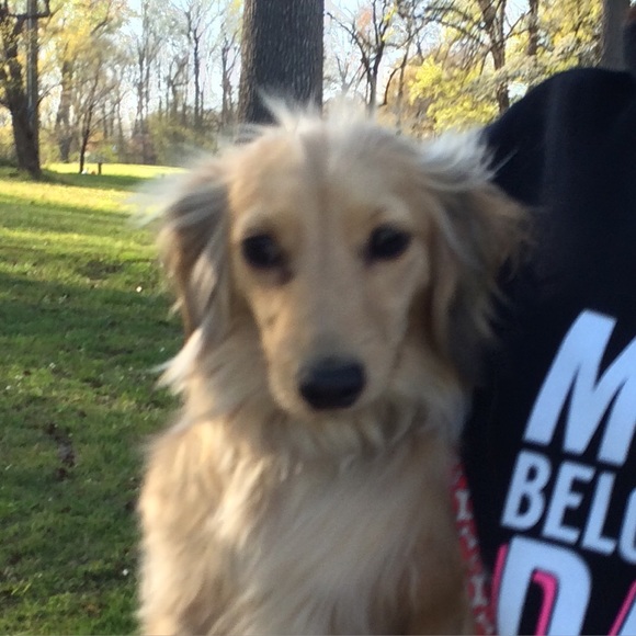 Meet your Posher, Tinahse