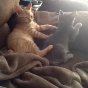 Meet your Posher, Alexis