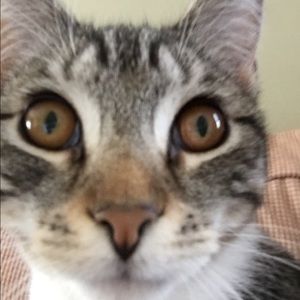 Meet your Posher, Eva