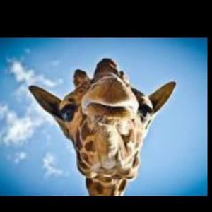 Meet your Posher, Tonya