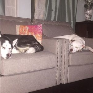 Meet your Posher, Virginia