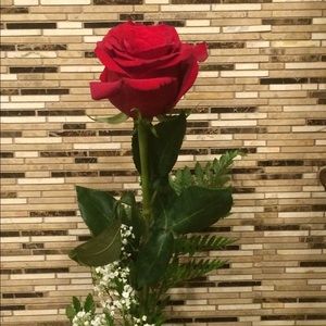 Meet your Posher, Katrina