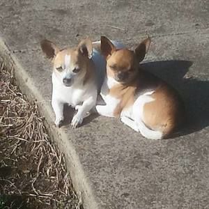 Meet your Posher, Jane