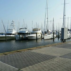 Meet your Posher, Sonya