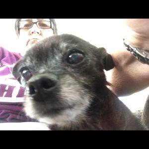 Meet your Posher, Phyllis