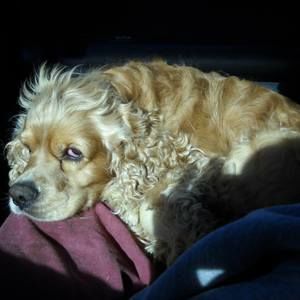 Meet your Posher, Mary