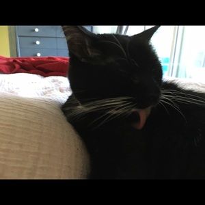 Meet your Posher, Eva