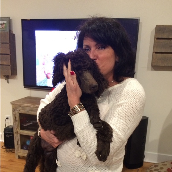 Meet your Posher, Iris - Picture 1 of 1