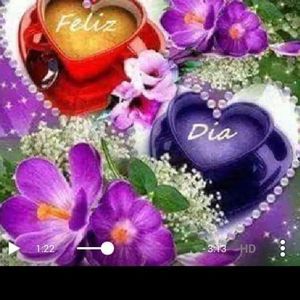 Meet your Posher, Rosa iris