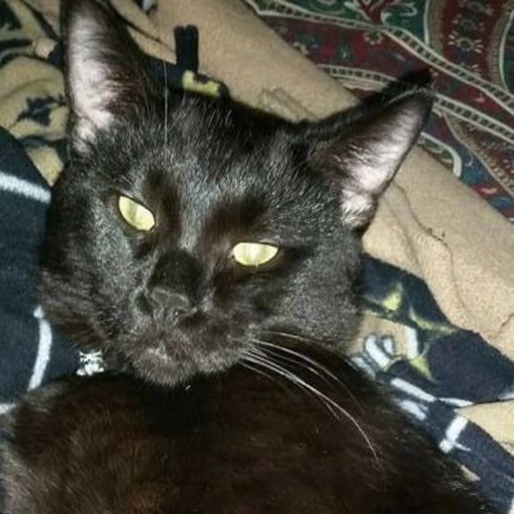 Meet your Posher, Corinna