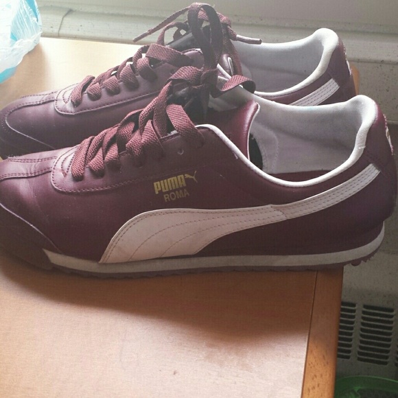 Fairly new puma men sneakers