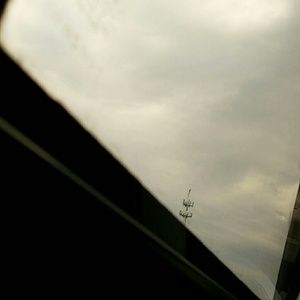 Meet your Posher, Bella