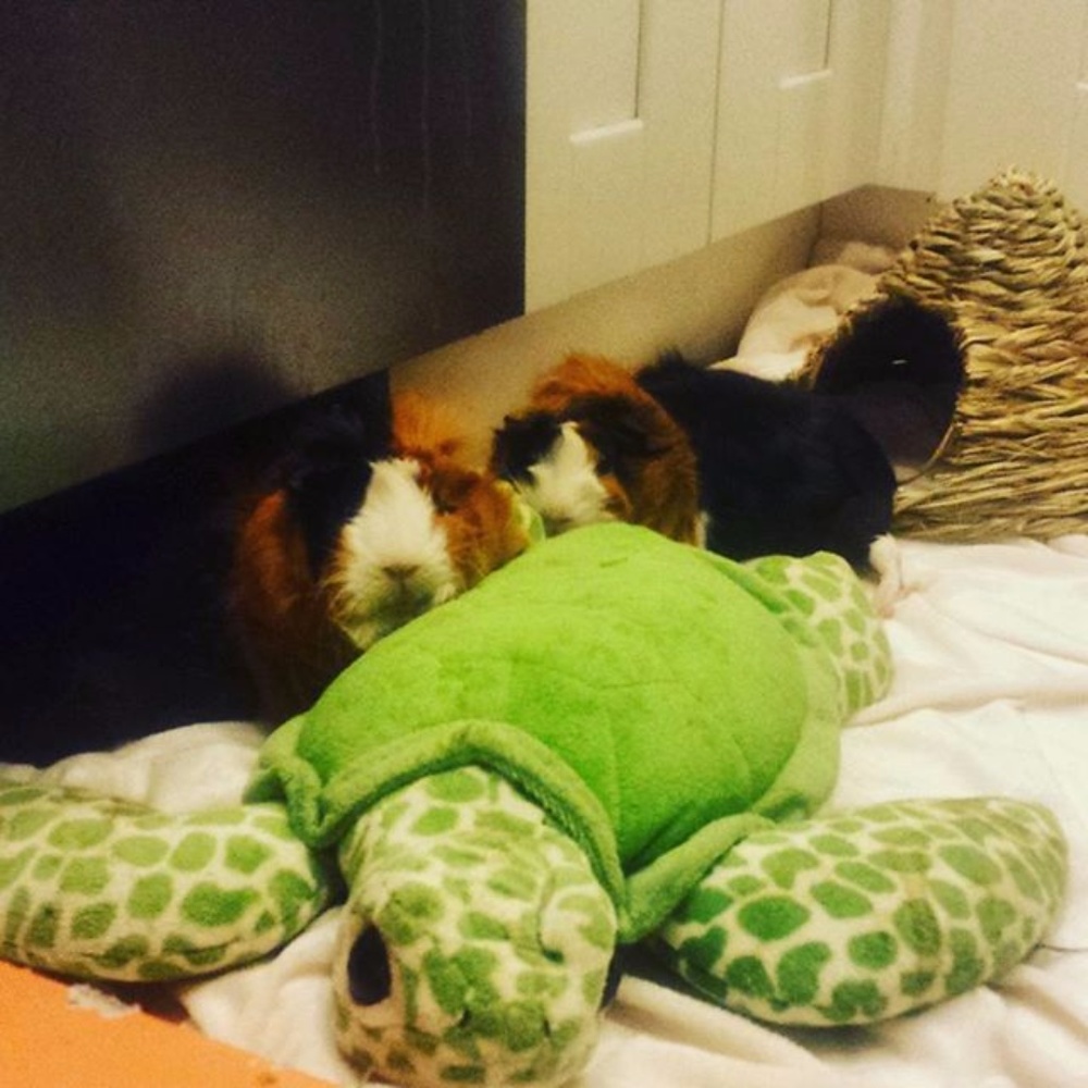 Hey! 😊💜😊💜😊 - Picture 4 of 4