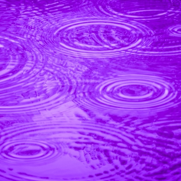 Share purple today in honor of Prince!
