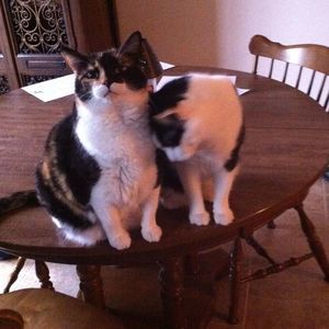 Meet your Posher, Leah