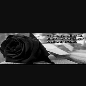 Meet your Posher, Olga