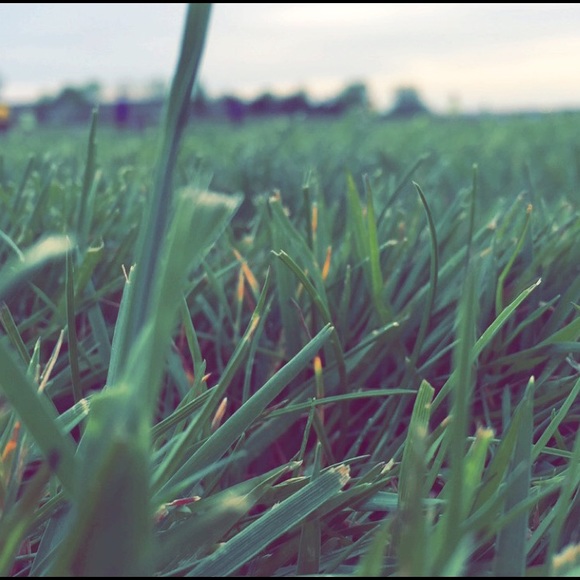 Meet your Posher, Cassidy - Picture 1 of 1