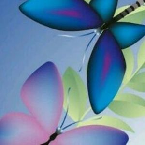 Meet your Posher, Terri