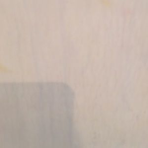 Meet your Posher, Sherry