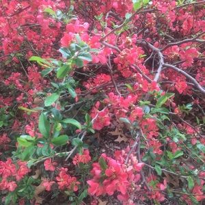 Meet your Posher, Greg