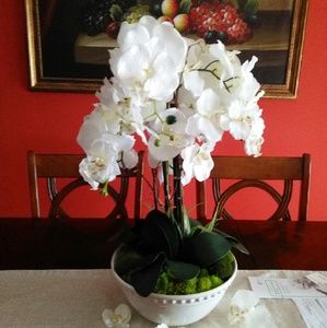 Meet your Posher, Gisela