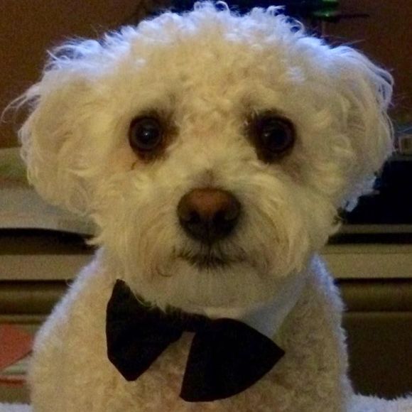 Meet your Posher, Christine