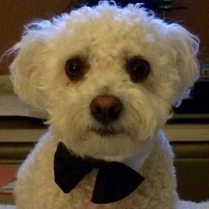 Meet your Posher, Christine