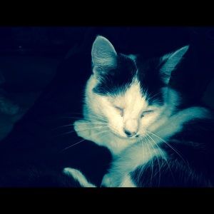 Meet your Posher, Brandi