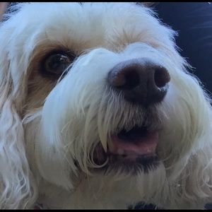 Meet your Posher, Gail