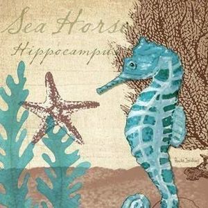 Meet your Posher, Bobbie jo