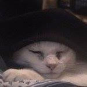 Meet your Posher, Jeff