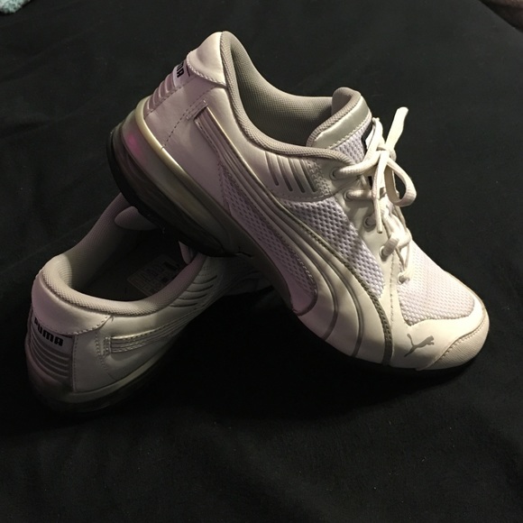 White pumas