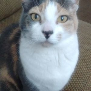 Meet your Posher, Shawna