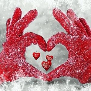 Meet your Posher, Evelyn