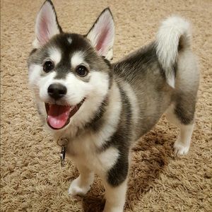 Meet your Posher, Laura