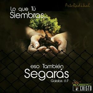 Meet your Posher, Darrainy