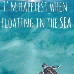 Meet your Posher, Sue